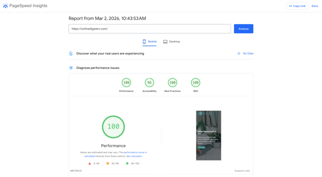 WordPress website build review proof: PageSpeed Insights mobile scores for OnlineDigiServ showing Performance 100, Accessibility 96, Best Practices 100 and SEO 100 (2 March 2026).
